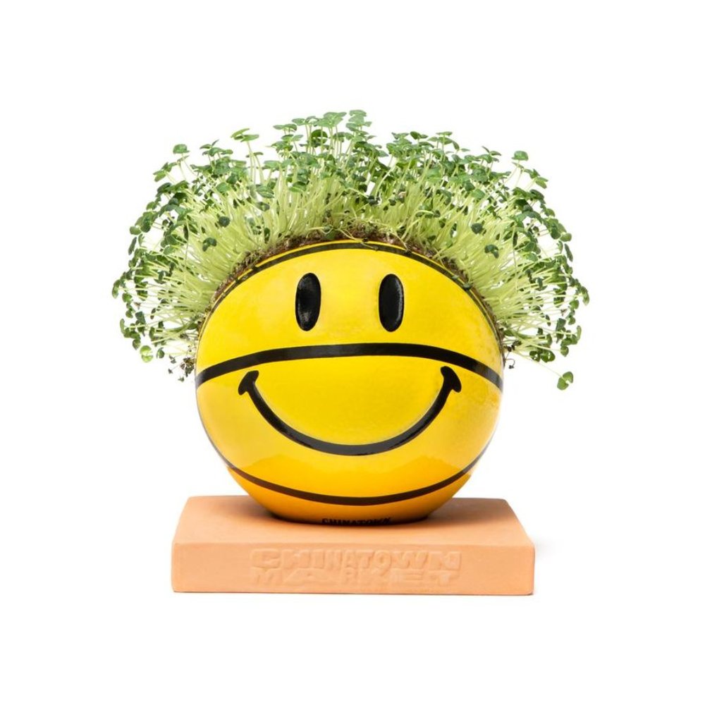 New in Box Chinatown Market Mini Basketball Chia Pet